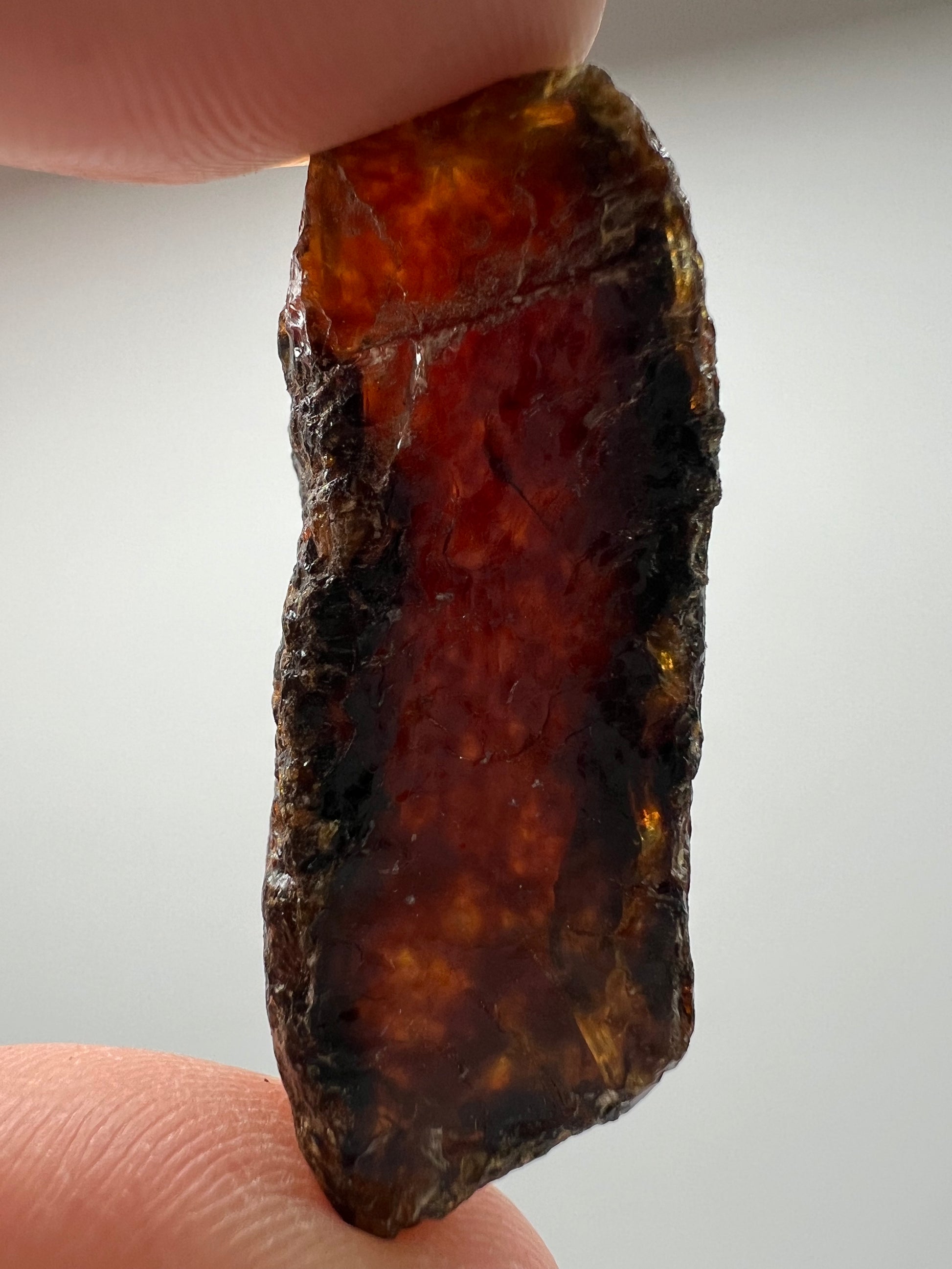Amber // Cherry // Fossilized // Tree Resin - SolRising The Rock Shop