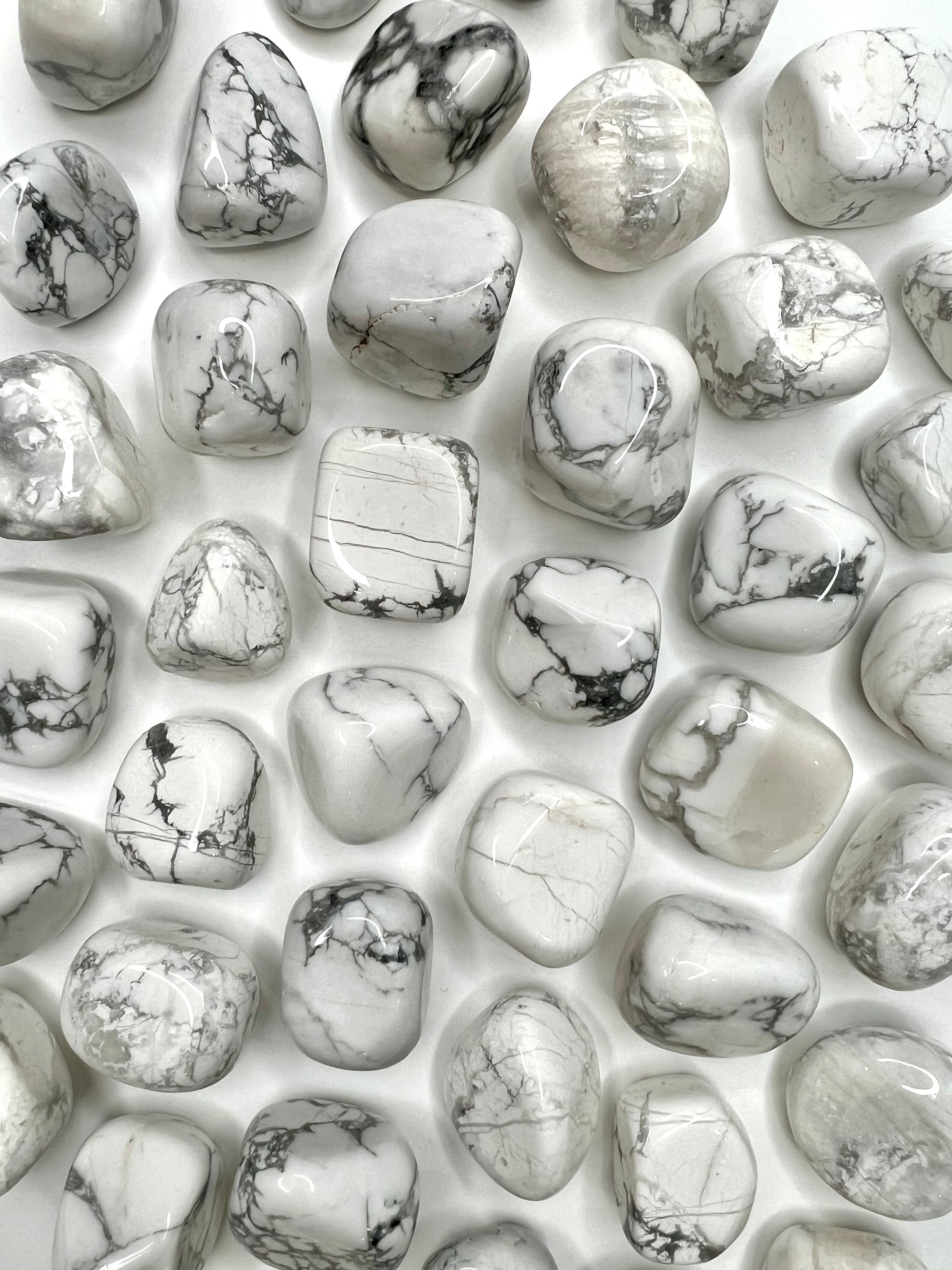 Howlite // Tumbled - SolRising The Rock Shop