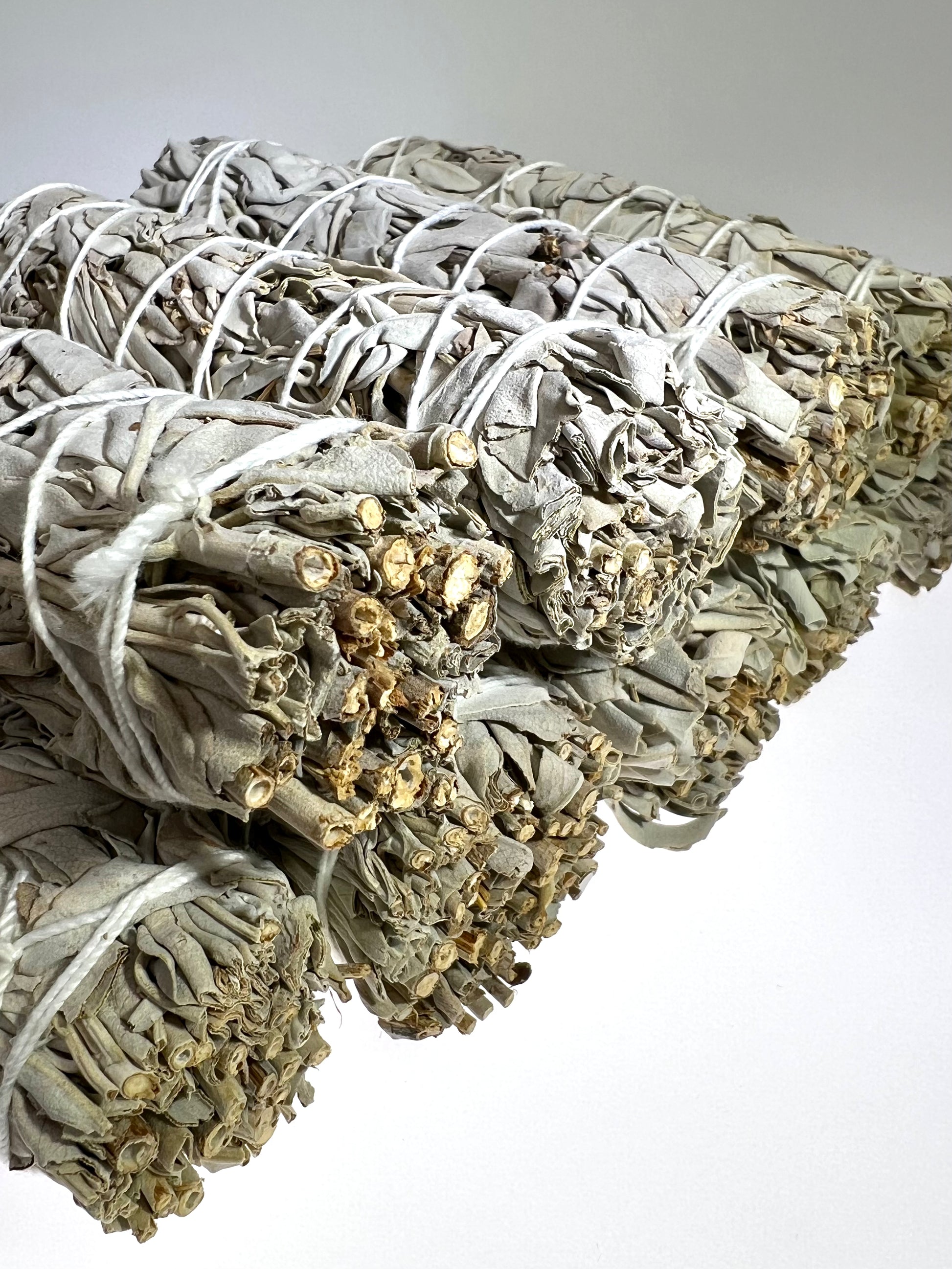 White Sage, Ethically Harvested // Stick // Burnable - SolRising The Rock Shop