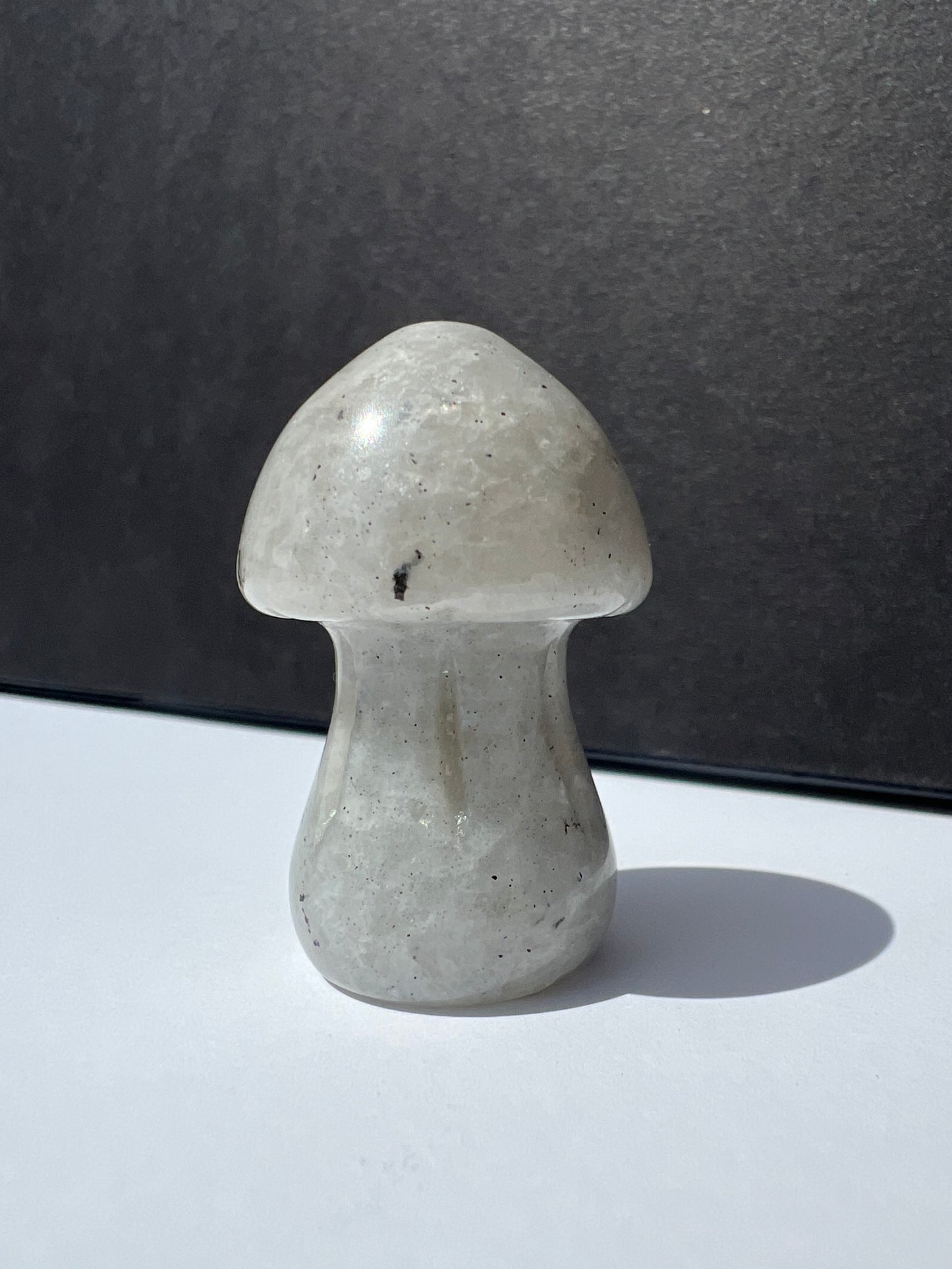 Mushroom // Shape