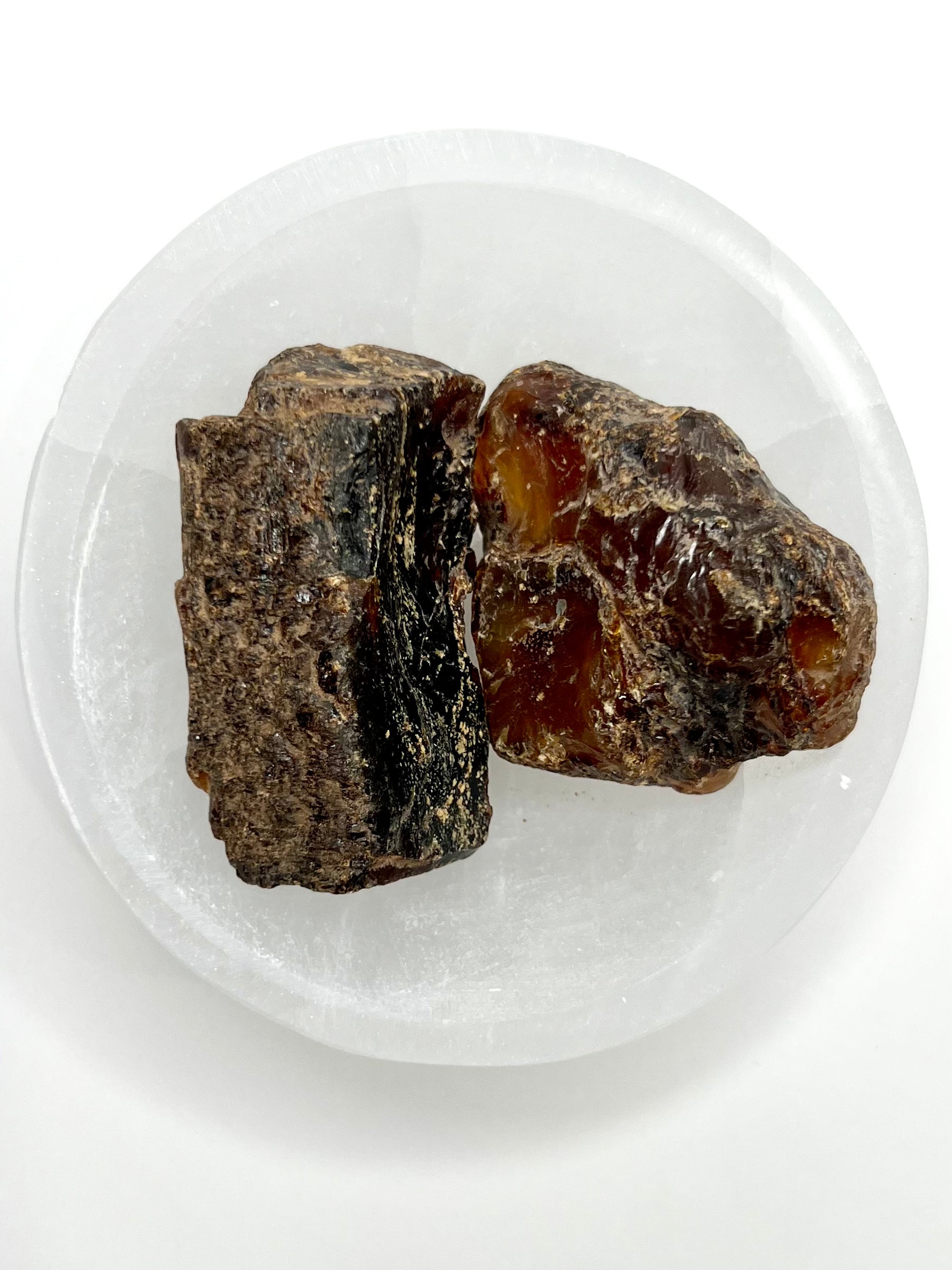 Amber // Cherry // Fossilized // Tree Resin - SolRising The Rock Shop