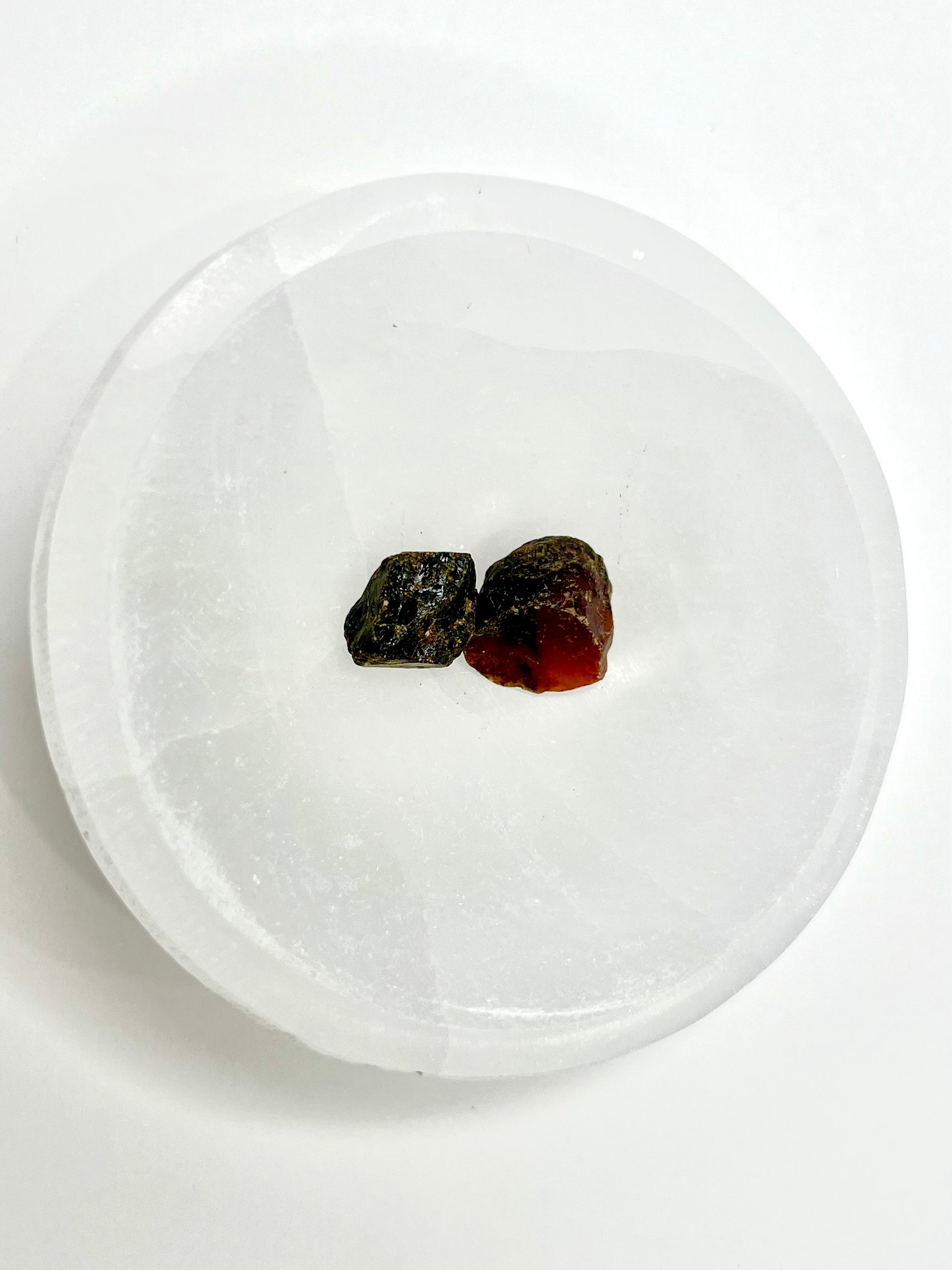 Amber // Cherry // Fossilized // Tree Resin - SolRising The Rock Shop