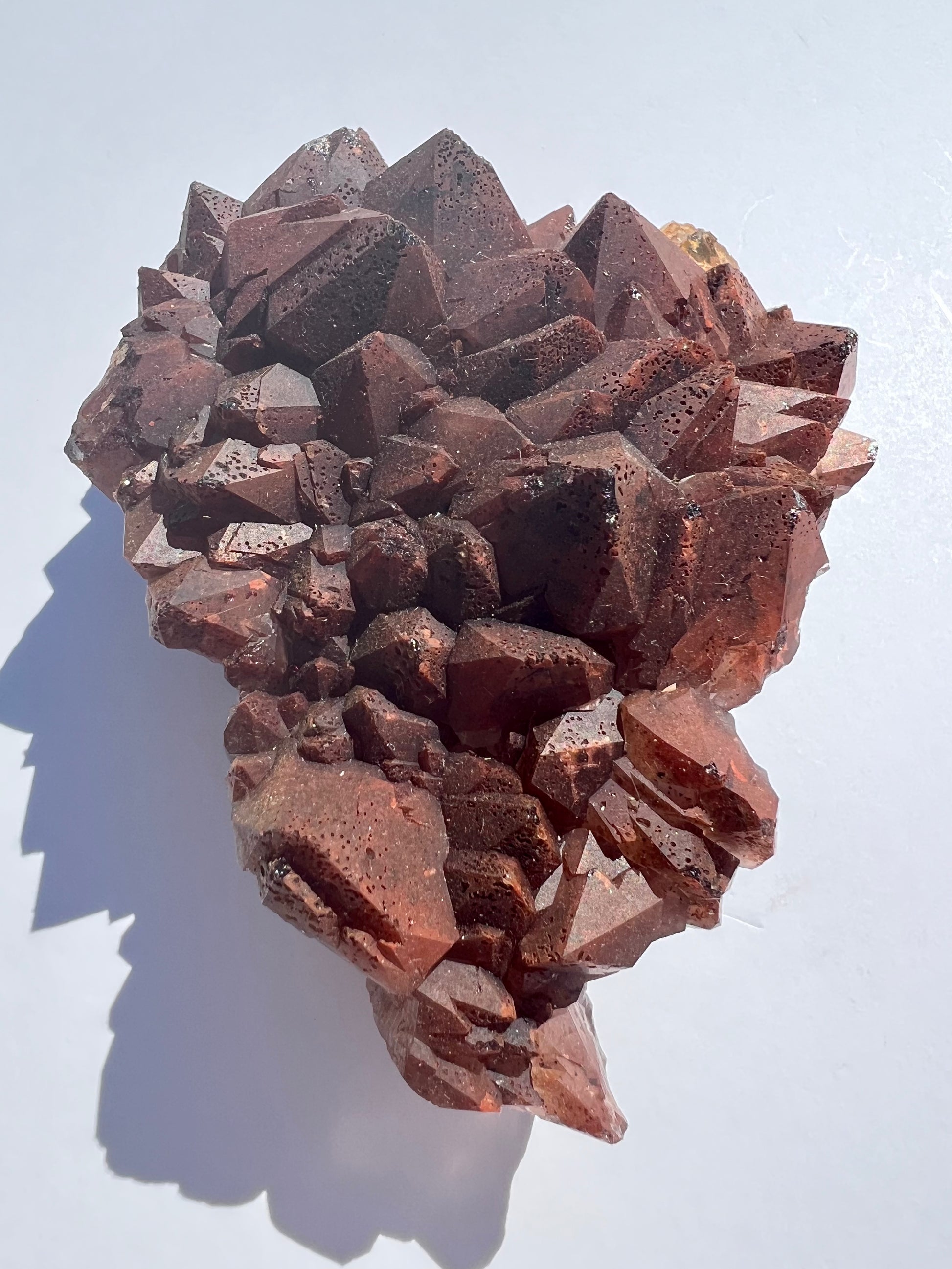 Red Cap // Amethyst // Cluster - SolRising The Rock Shop