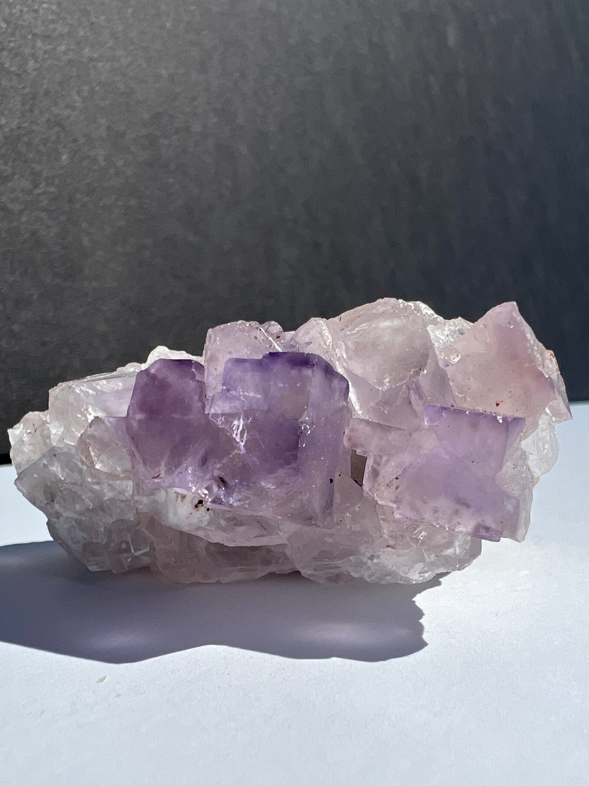 Fluorite // Purple // Rough - SolRising The Rock Shop