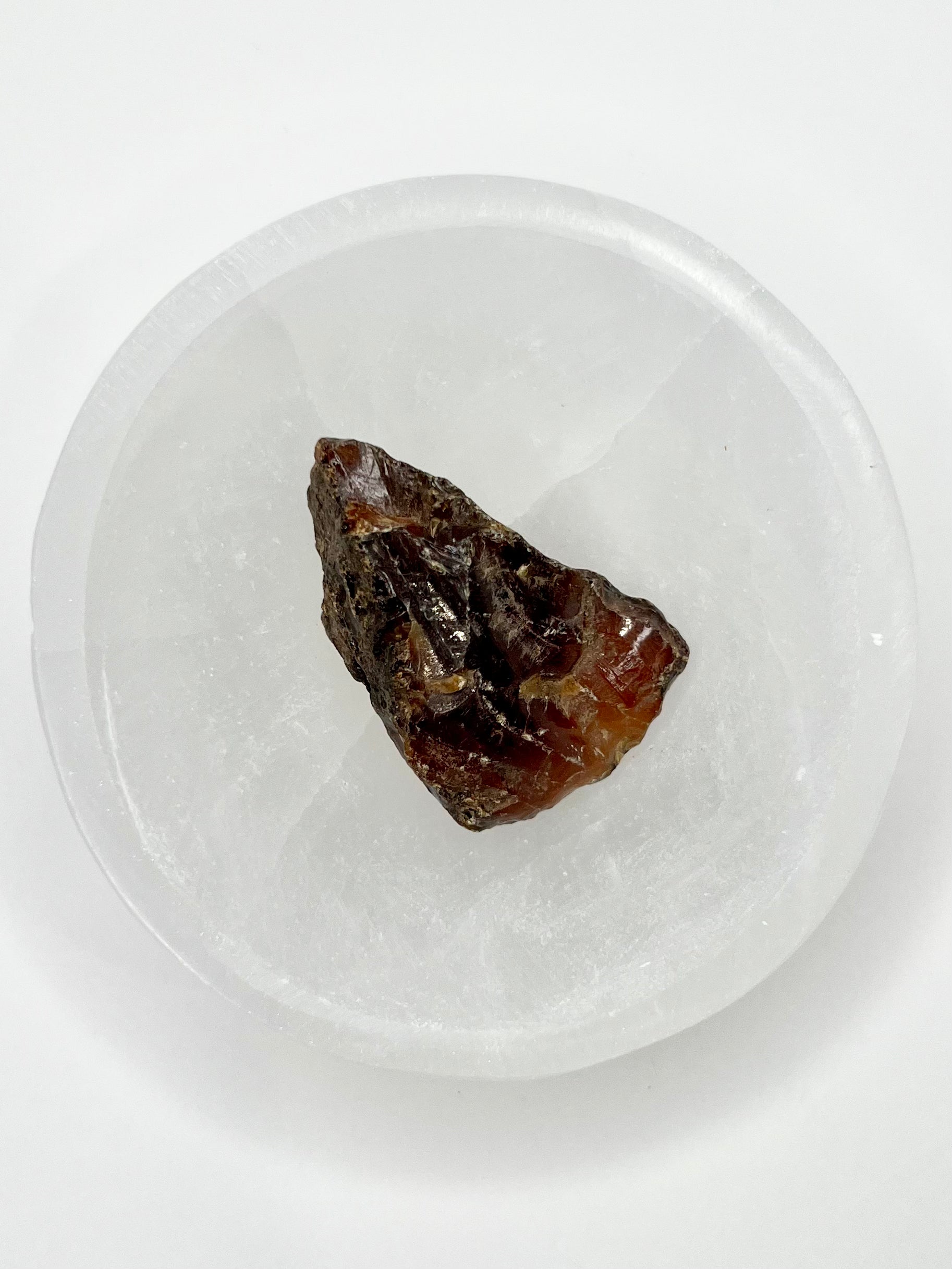 Amber // Cherry // Fossilized // Tree Resin - SolRising The Rock Shop