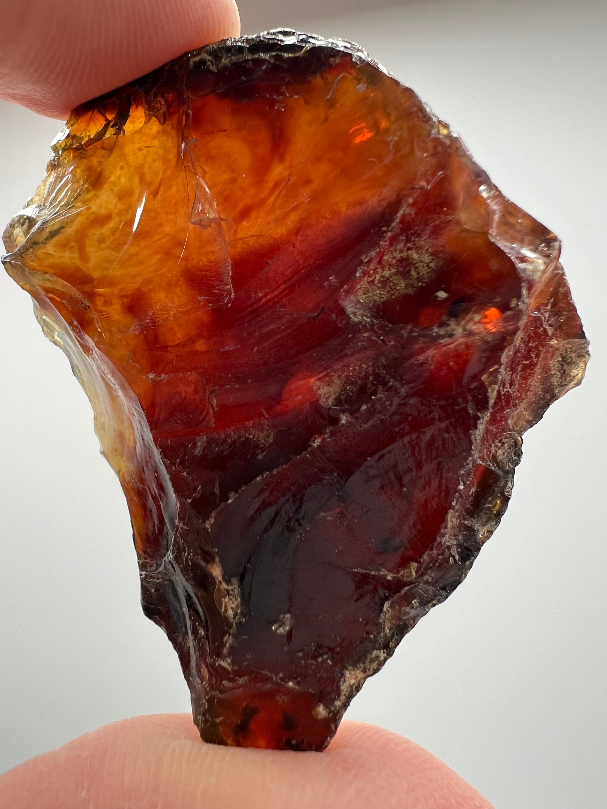 Amber // Cherry // Fossilized // Tree Resin - SolRising The Rock Shop