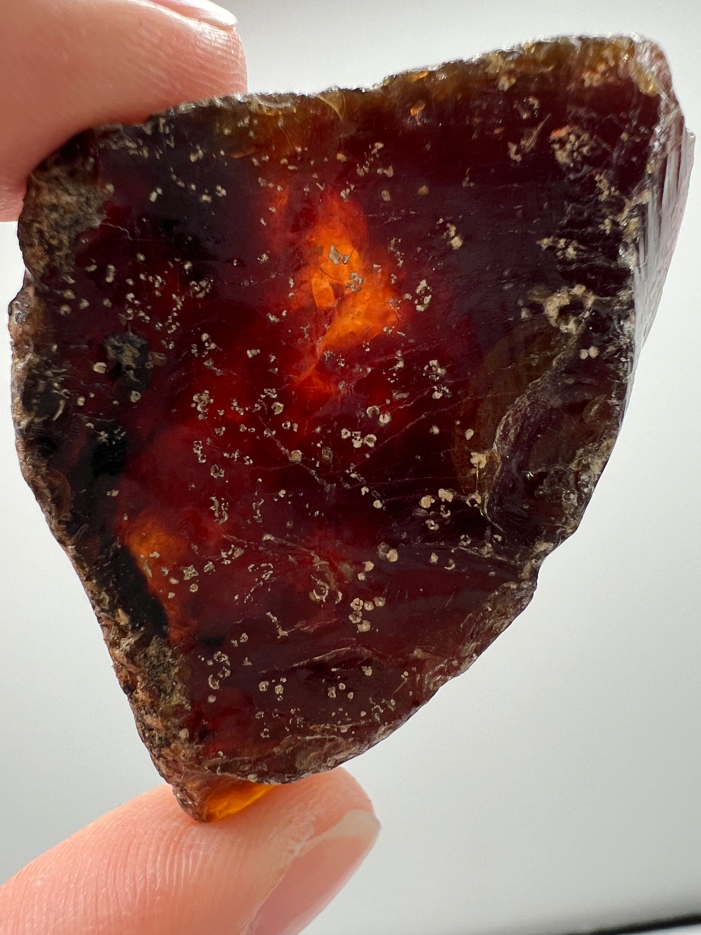 Amber // Cherry // Fossilized // Tree Resin