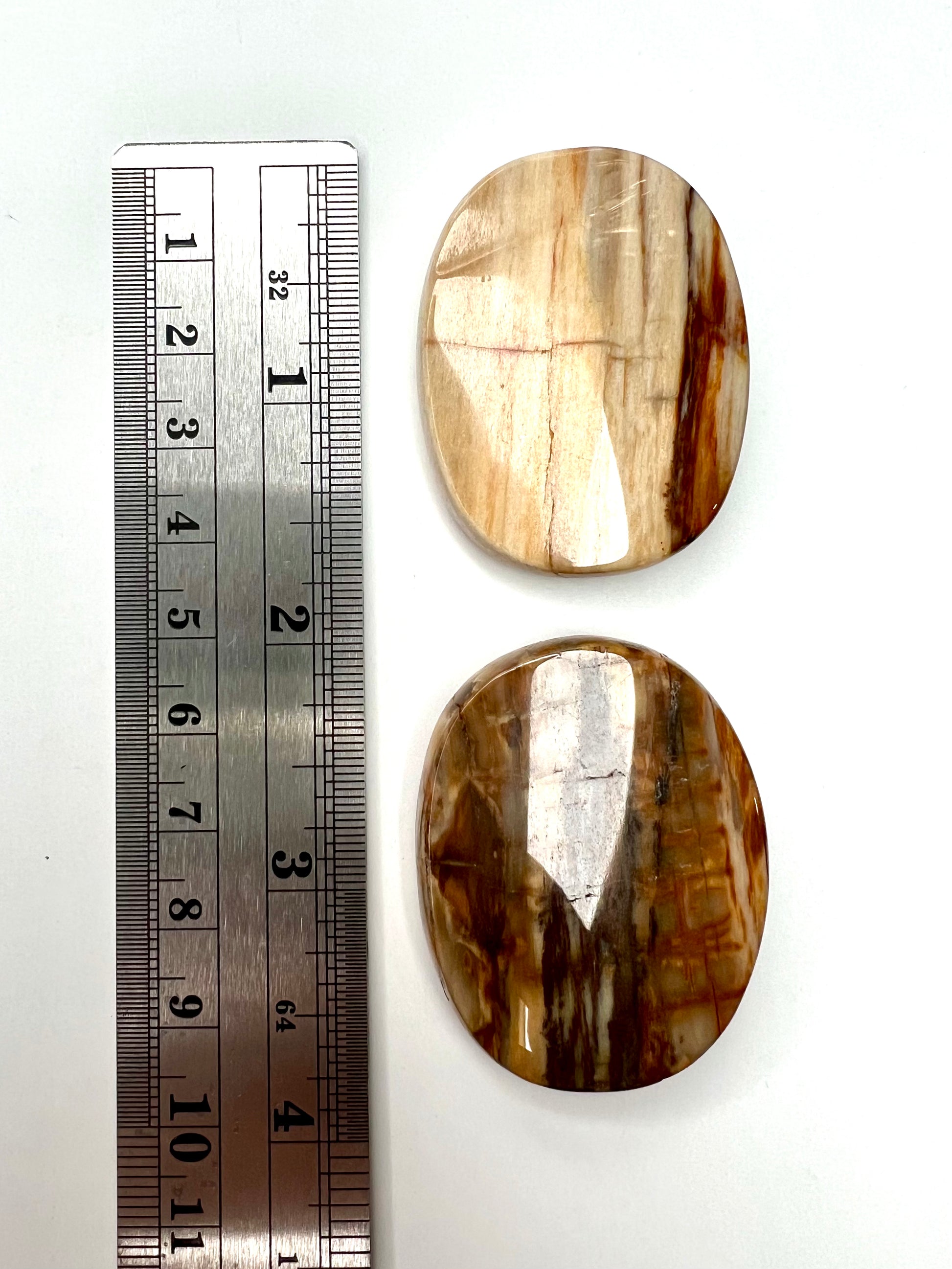 Petrified Wood // Smooth Stone - SolRising The Rock Shop