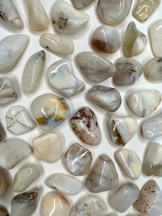 Opal // White // Tumbled - SolRising The Rock Shop