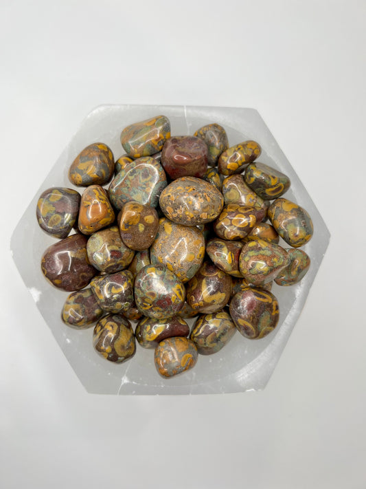 Jasper, Fruit - Tumbled - SolRising The Rock Shop