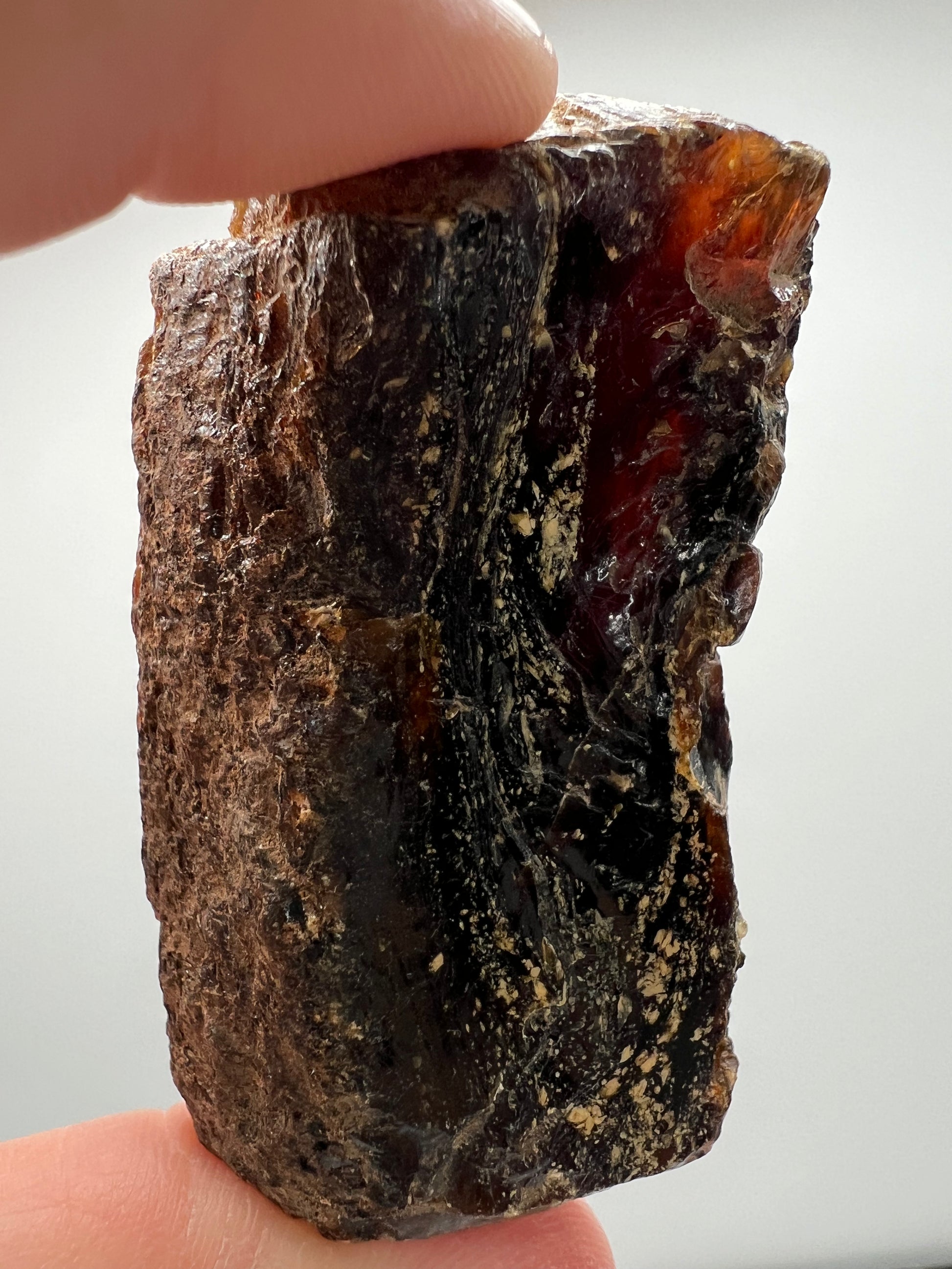 Amber // Cherry // Fossilized // Tree Resin - SolRising The Rock Shop