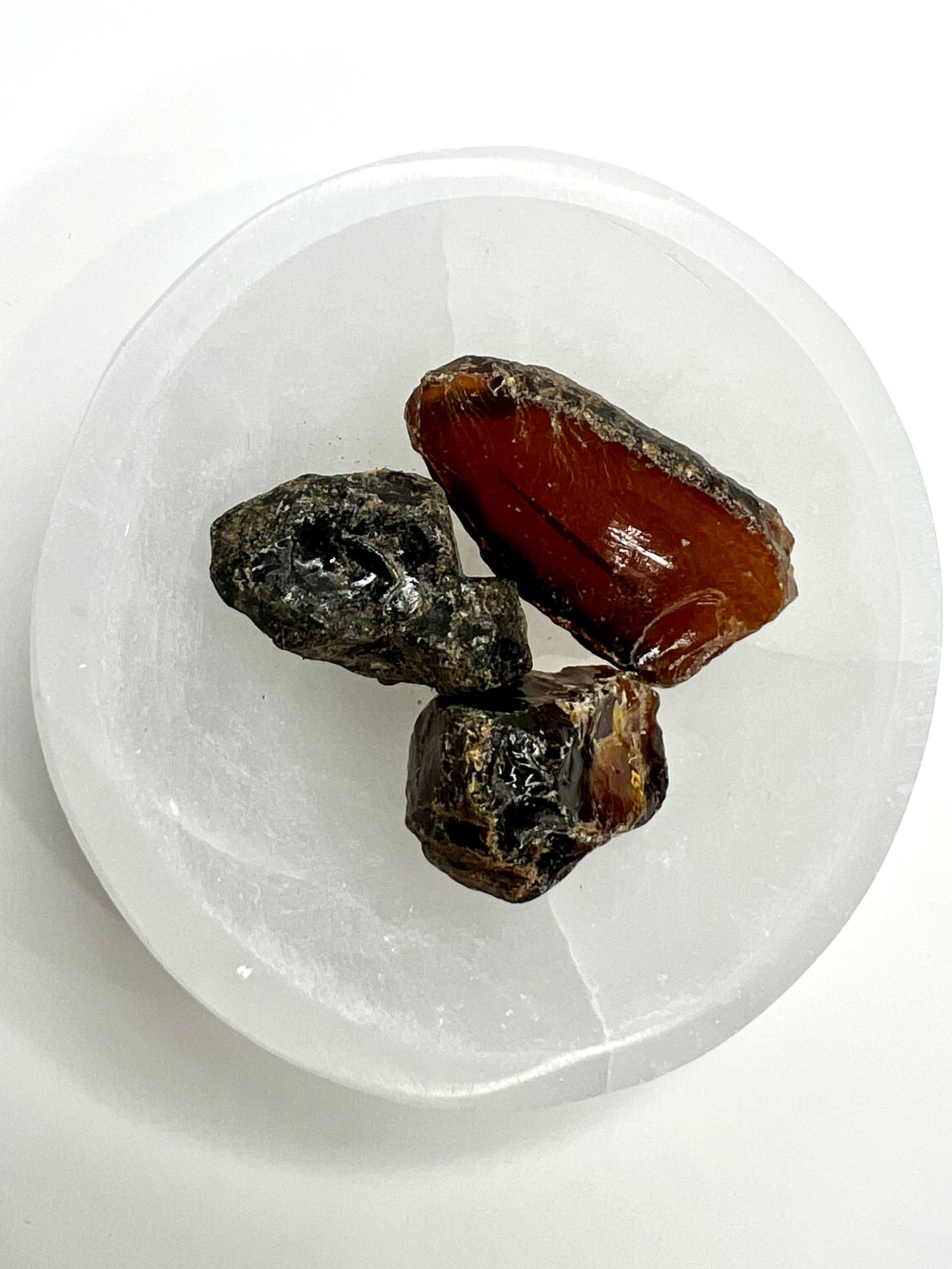 Amber // Cherry // Fossilized // Tree Resin - SolRising The Rock Shop
