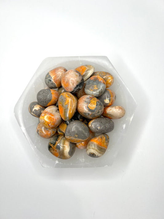 Bumble Bee // Tumbled - SolRising The Rock Shop