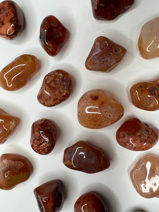 Carnelian // Tumbled - SolRising The Rock Shop