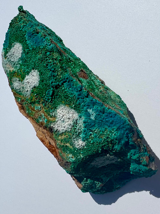 Malacholla // Mineral Specimen // Rough - SolRising The Rock Shop