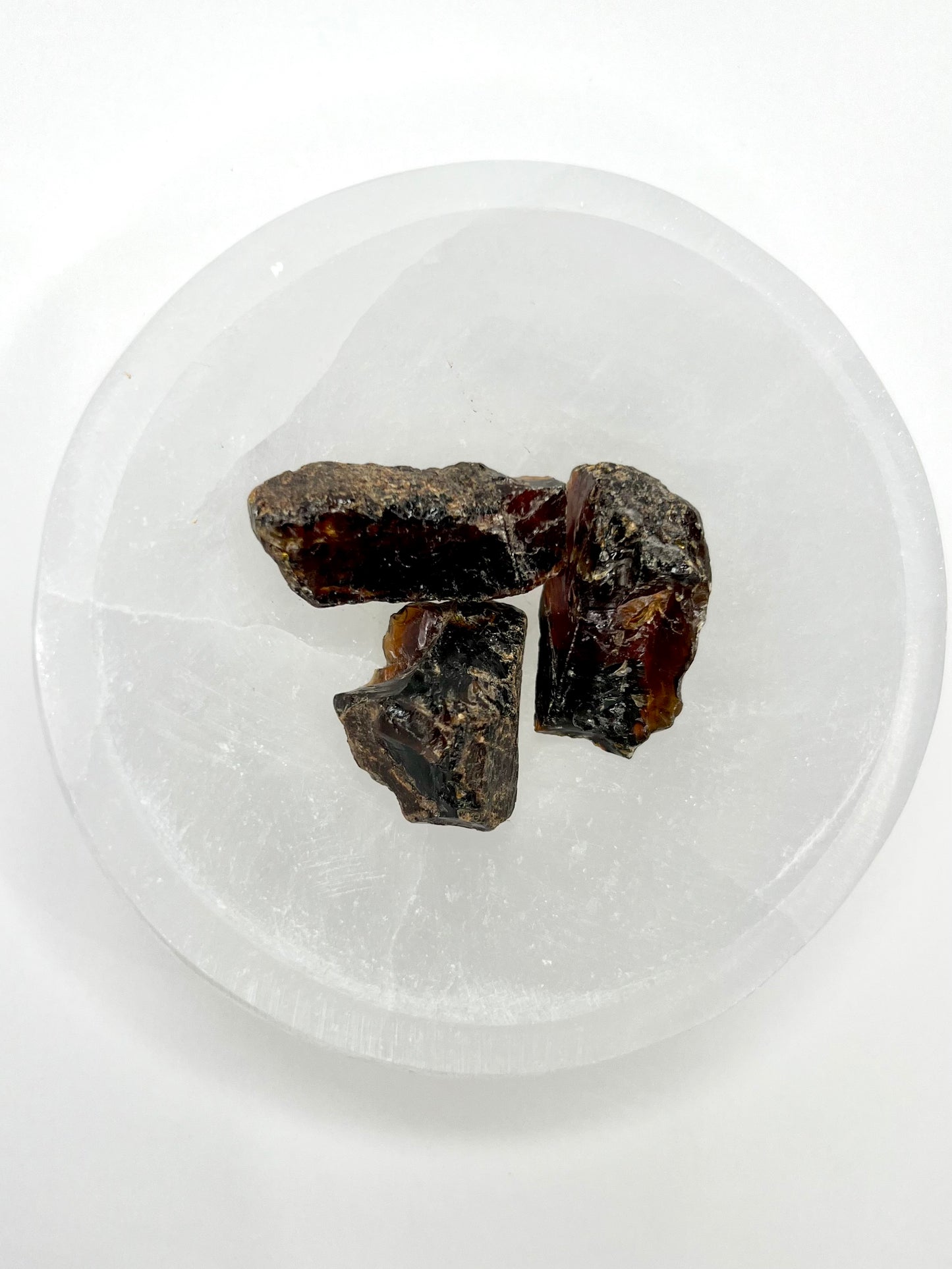 Amber // Cherry // Fossilized // Tree Resin