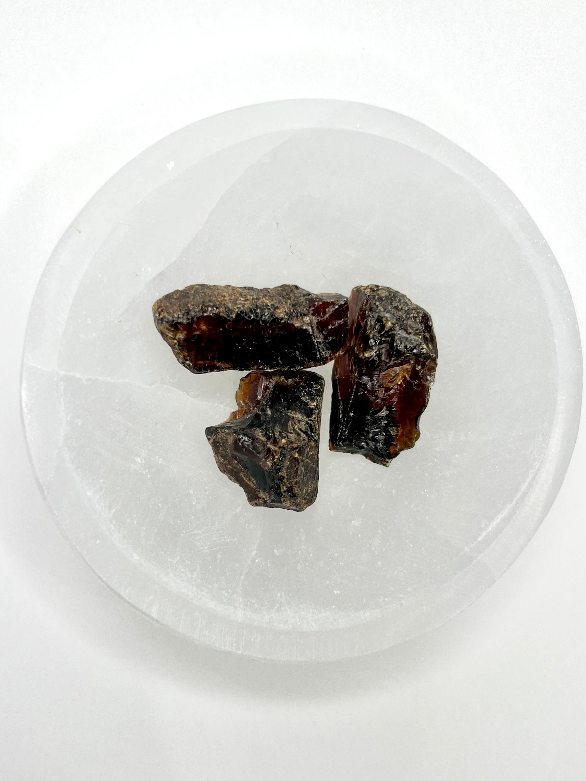 Amber // Cherry // Fossilized // Tree Resin - SolRising The Rock Shop