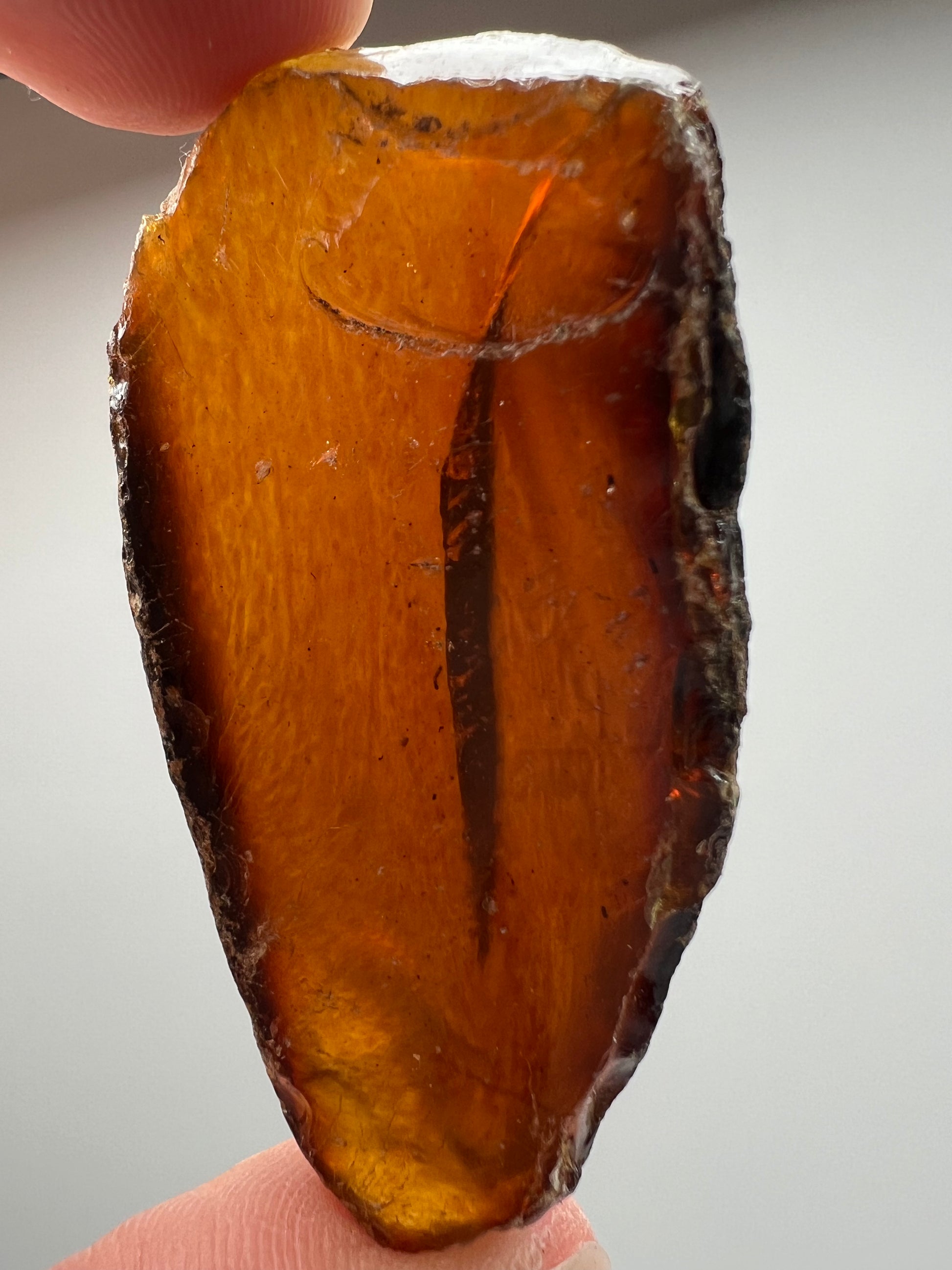 Amber // Cherry // Fossilized // Tree Resin - SolRising The Rock Shop