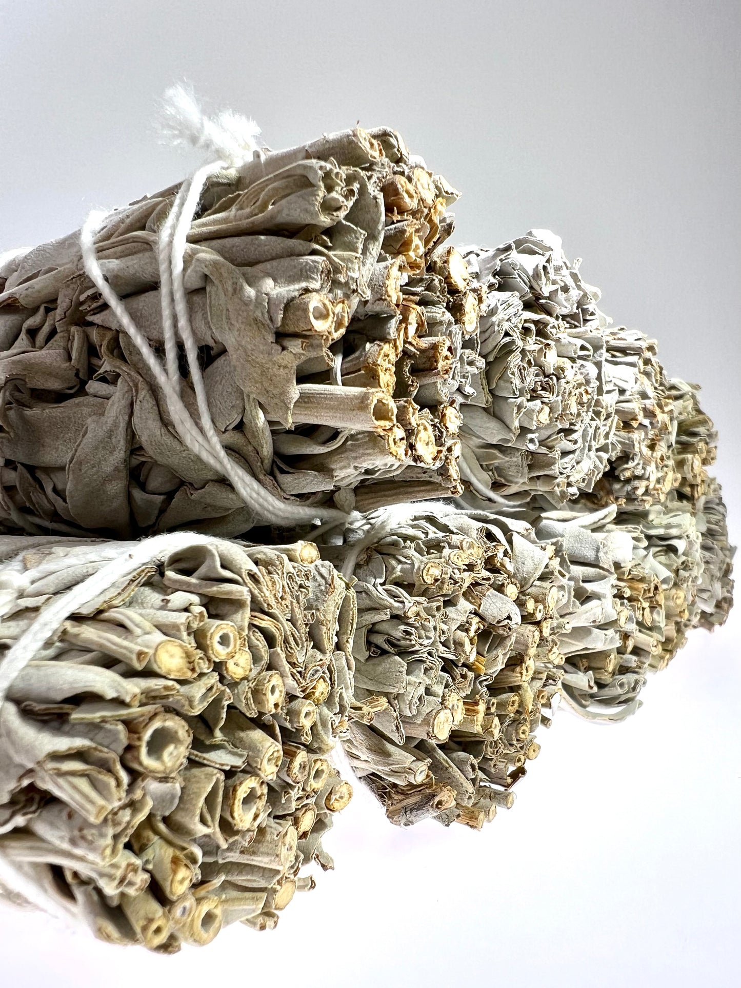 White Sage, Ethically Harvested // Stick // Burnable - SolRising The Rock Shop