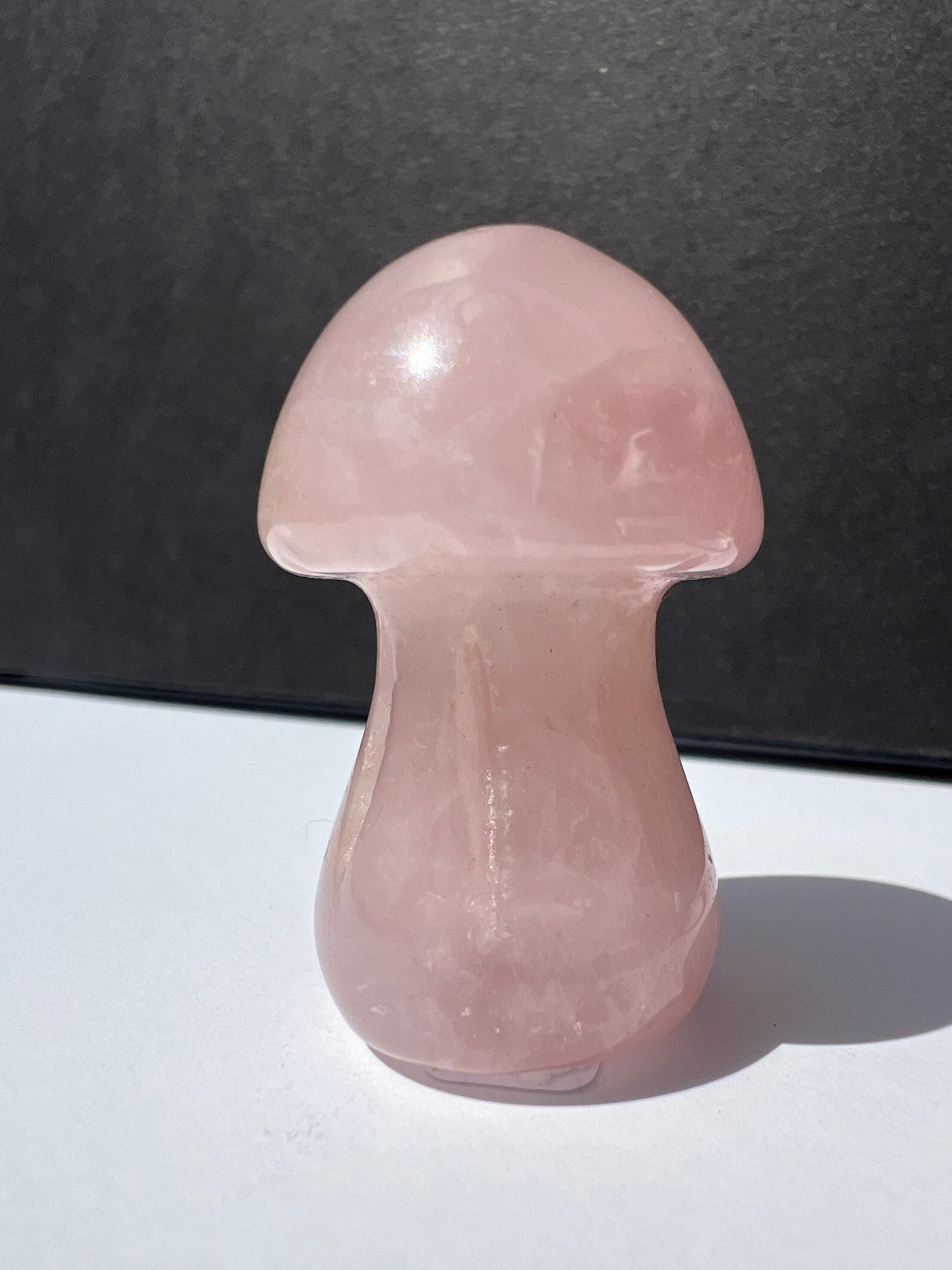 Mushroom // Shape