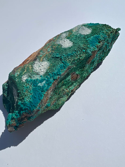 Malacholla // Mineral Specimen // Rough - SolRising The Rock Shop