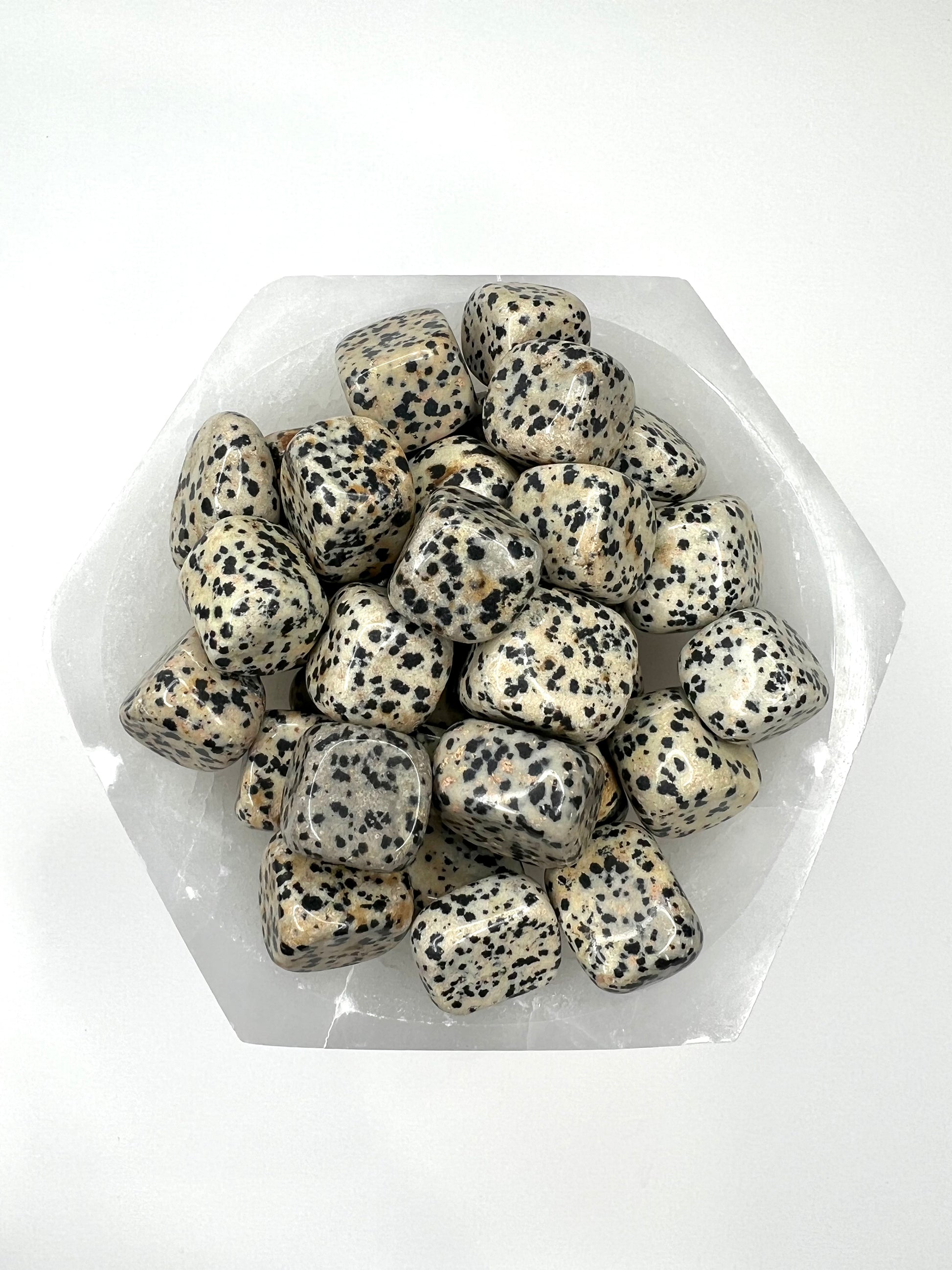 Dalmatian - Tumbled - SolRising The Rock Shop