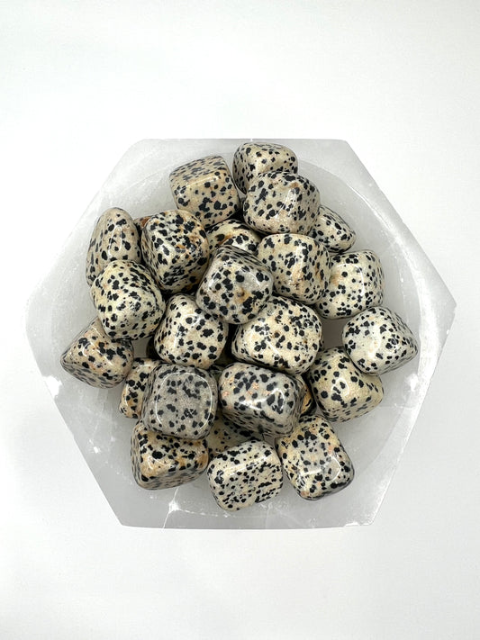 Dalmatian - Tumbled - SolRising The Rock Shop