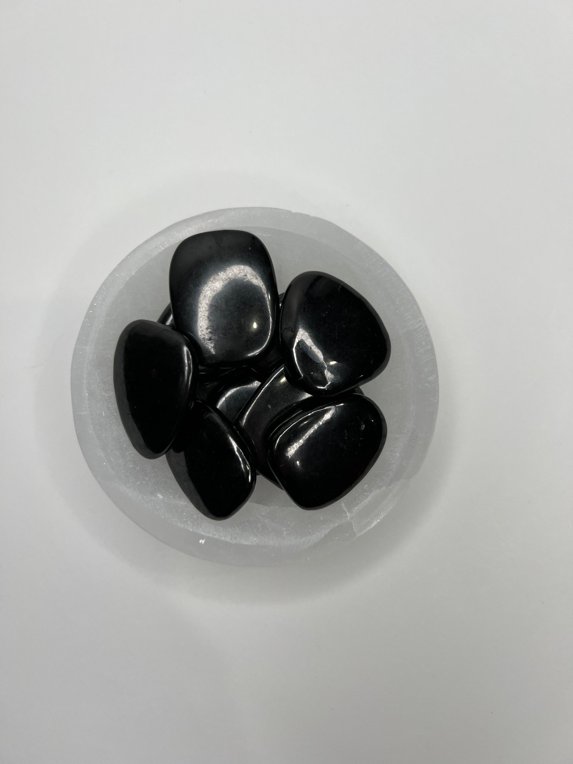 Shungite // Medallions - SolRising The Rock Shop