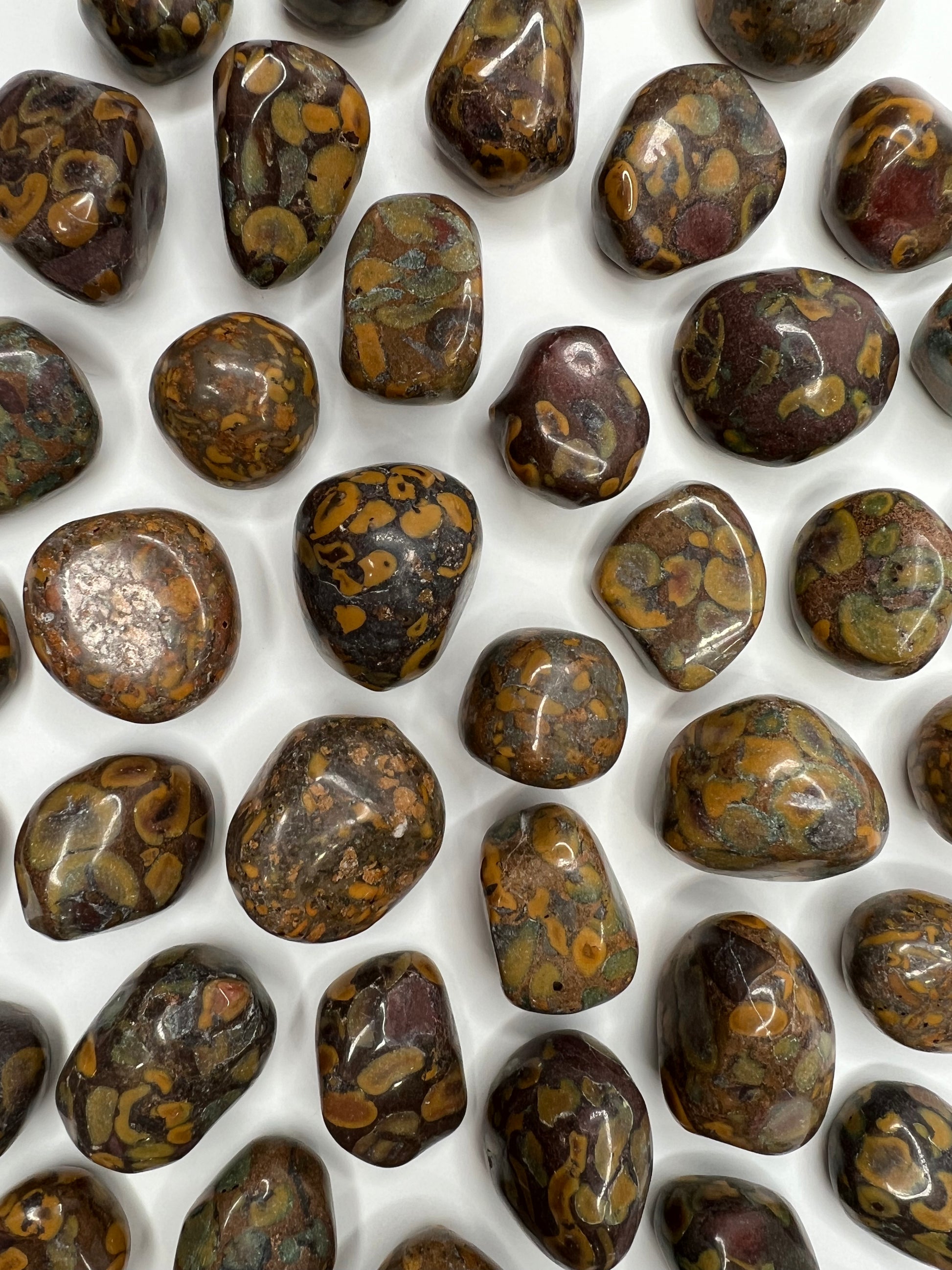 Jasper, Fruit - Tumbled - SolRising The Rock Shop