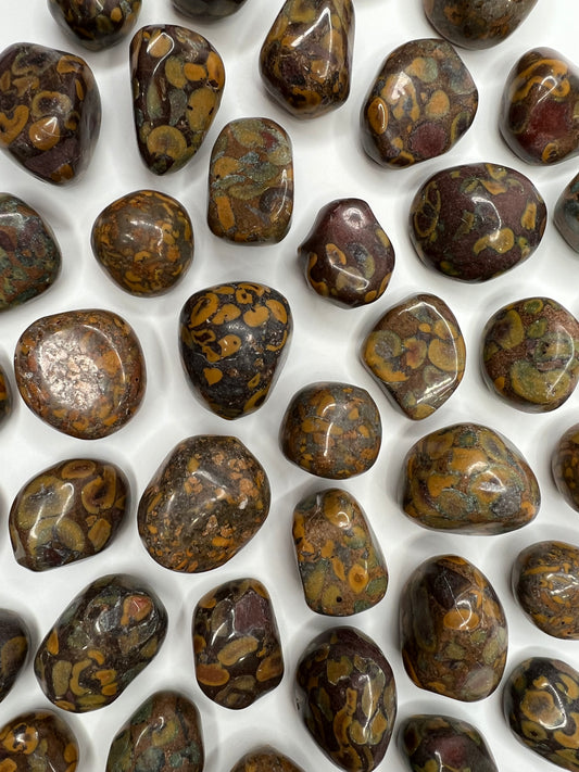 Jasper, Fruit - Tumbled - SolRising The Rock Shop