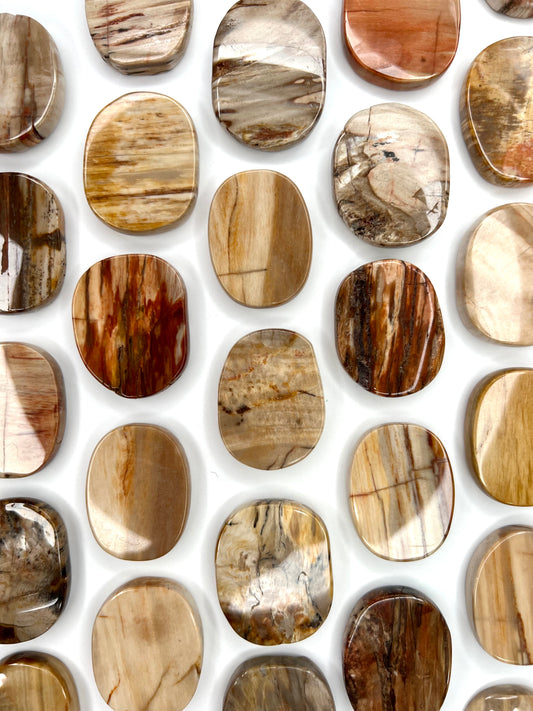 Petrified Wood // Smooth Stone - SolRising The Rock Shop