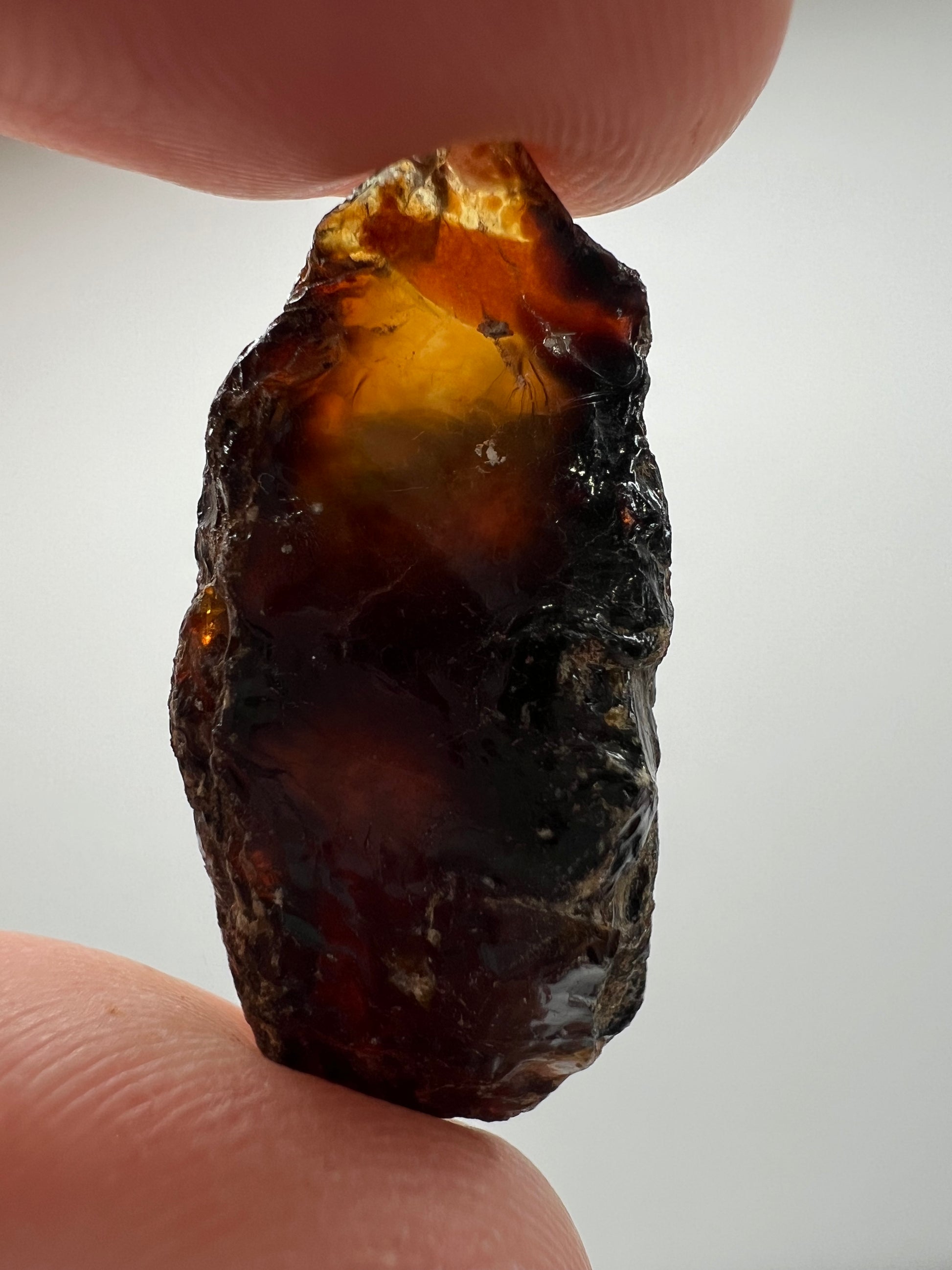 Amber // Cherry // Fossilized // Tree Resin - SolRising The Rock Shop