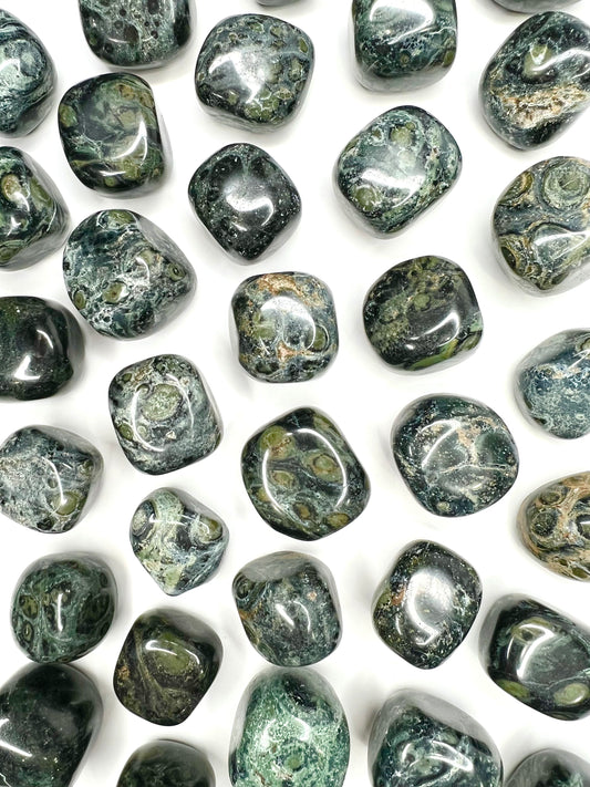 Kambaba Stone // Tumbled - SolRising The Rock Shop