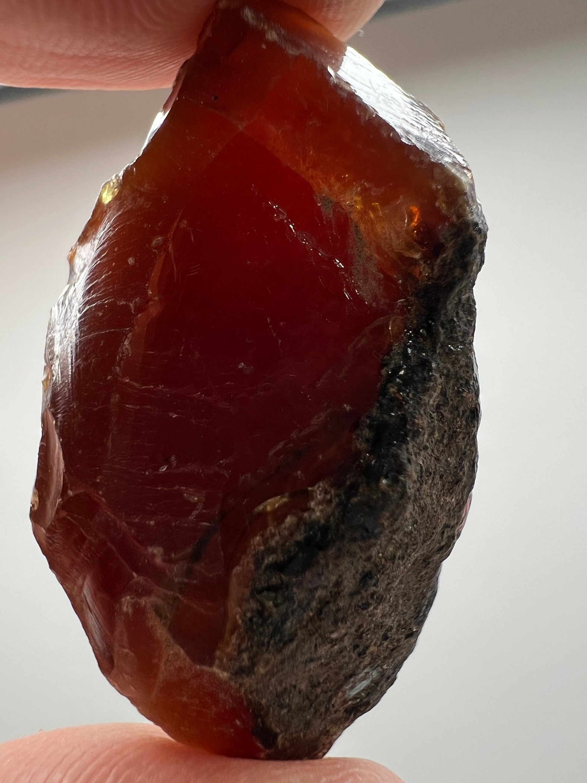 Amber // Cherry // Fossilized // Tree Resin - SolRising The Rock Shop