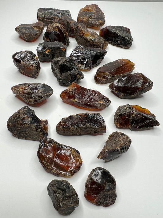 Amber // Cherry // Fossilized // Tree Resin - SolRising The Rock Shop