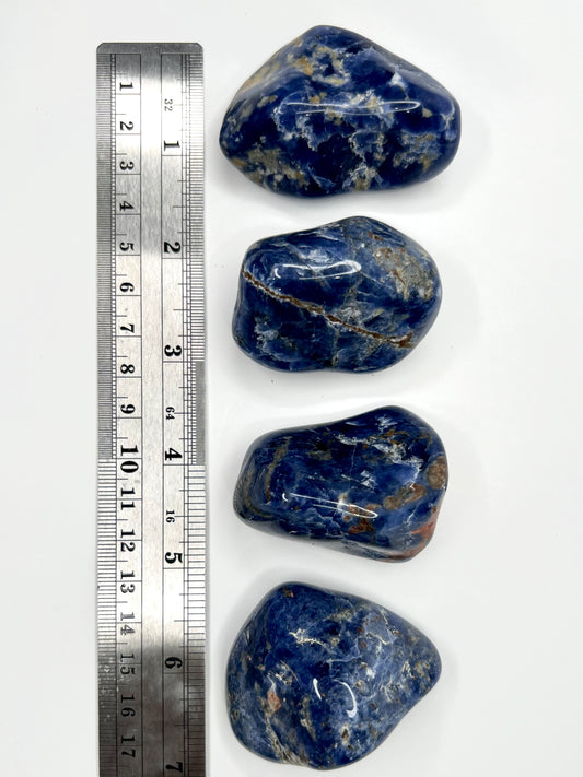 Sodalite // Tumbled - SolRising The Rock Shop