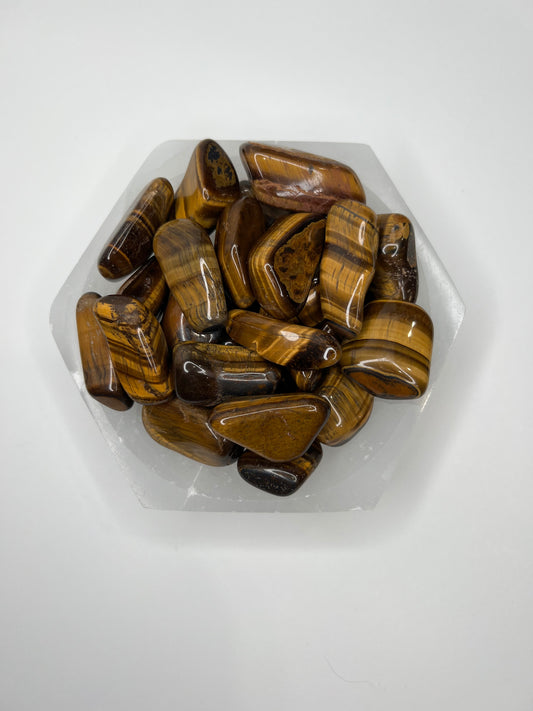 Tiger Eye // Gold // Tumbled - SolRising The Rock Shop
