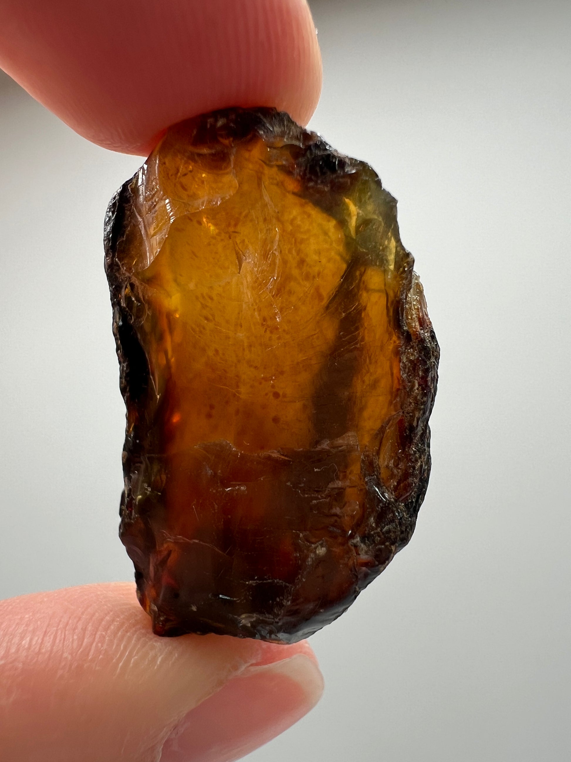Amber // Cherry // Fossilized // Tree Resin - SolRising The Rock Shop