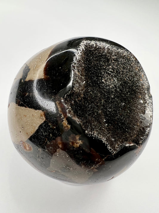 Septarian // Dragon // Sphere - SolRising The Rock Shop