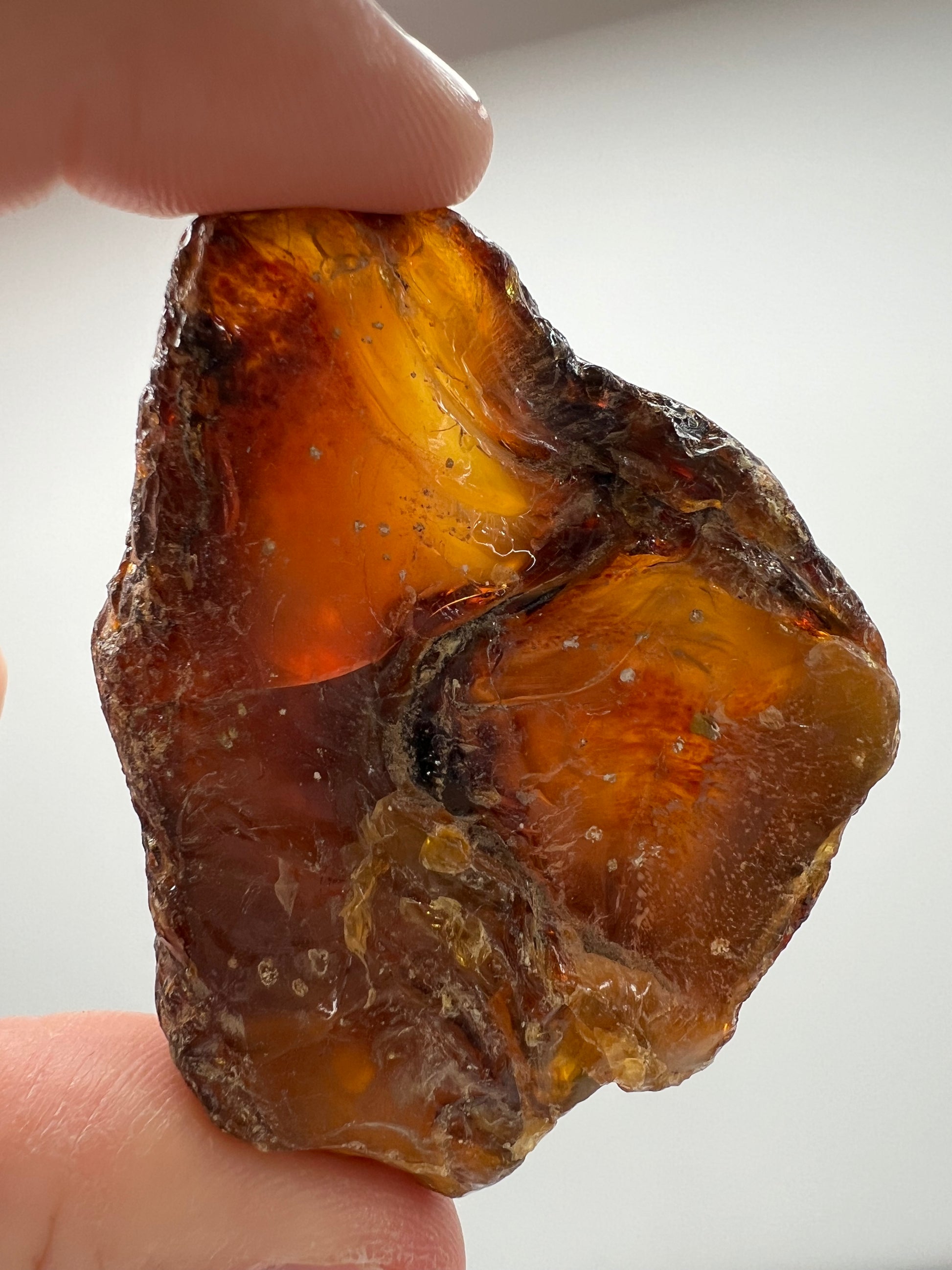 Amber // Cherry // Fossilized // Tree Resin - SolRising The Rock Shop