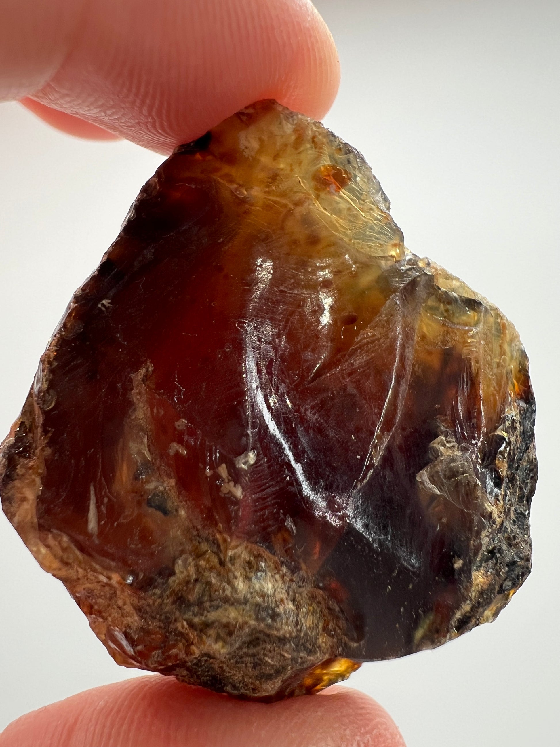 Amber // Cherry // Fossilized // Tree Resin - SolRising The Rock Shop