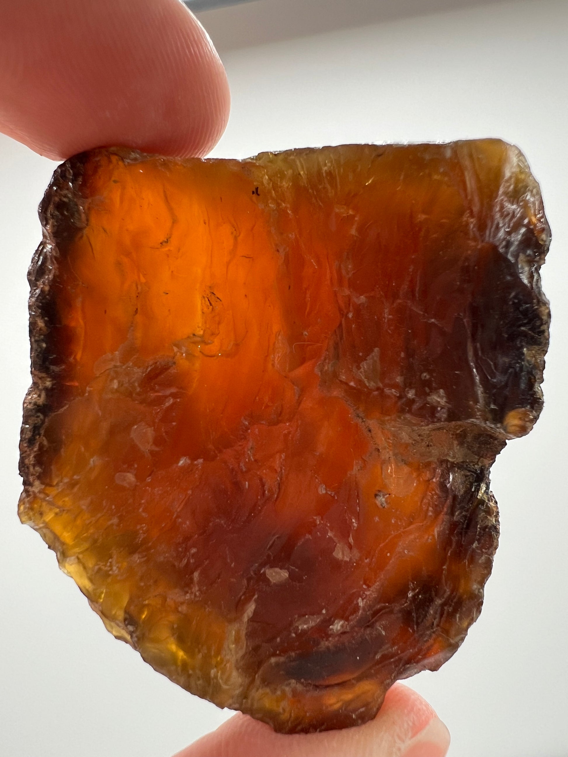 Amber // Cherry // Fossilized // Tree Resin - SolRising The Rock Shop