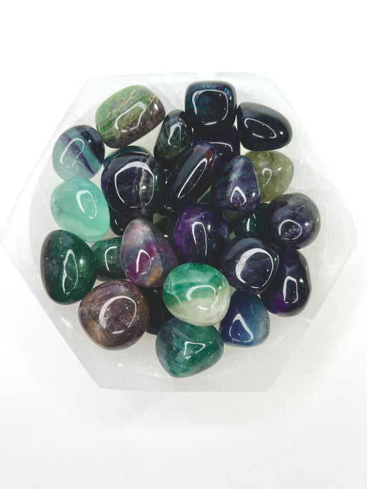 Fluorite // Tumbled - SolRising The Rock Shop