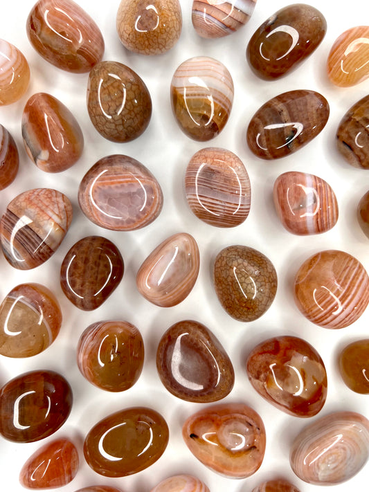 Fire Agate // Tumbled - SolRising The Rock Shop