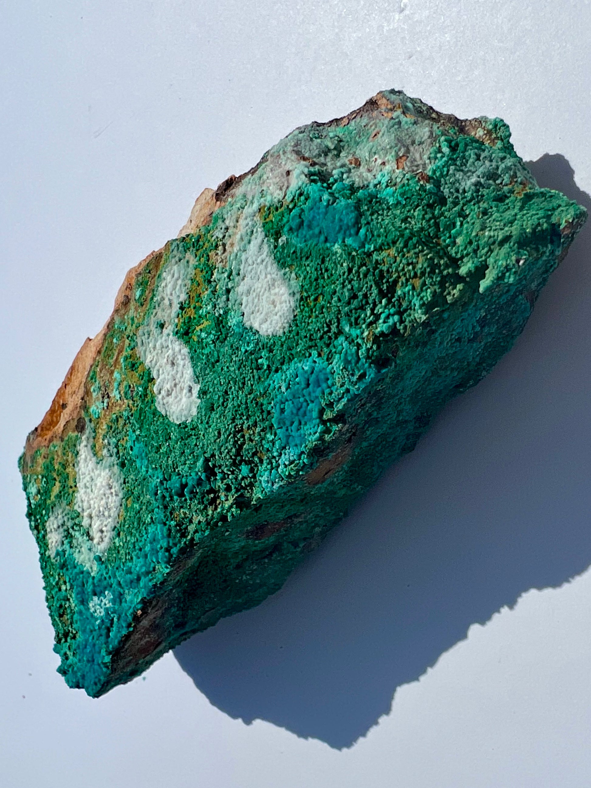 Malacholla // Mineral Specimen // Rough - SolRising The Rock Shop