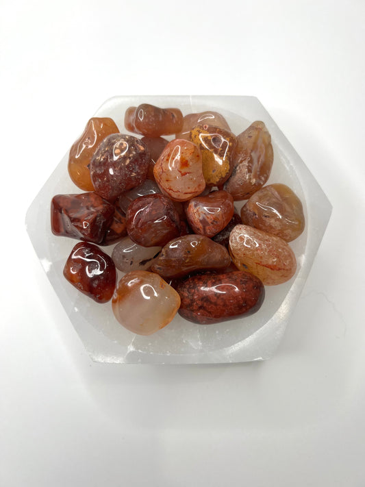 Carnelian // Tumbled - SolRising The Rock Shop
