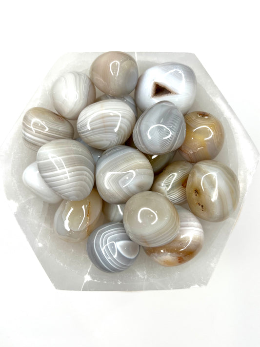 Botswana Agate // Tumbled - SolRising The Rock Shop