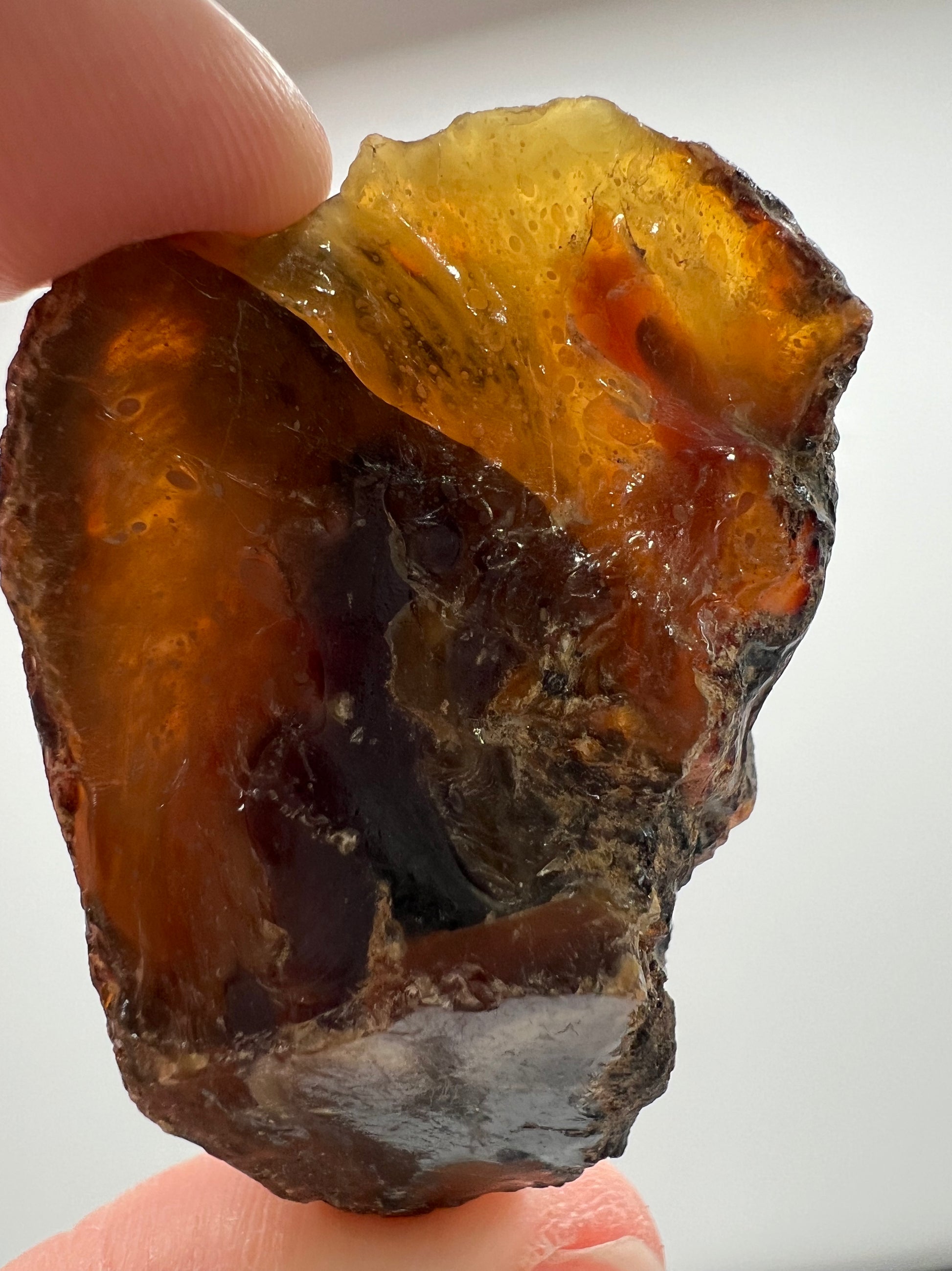 Amber // Cherry // Fossilized // Tree Resin - SolRising The Rock Shop