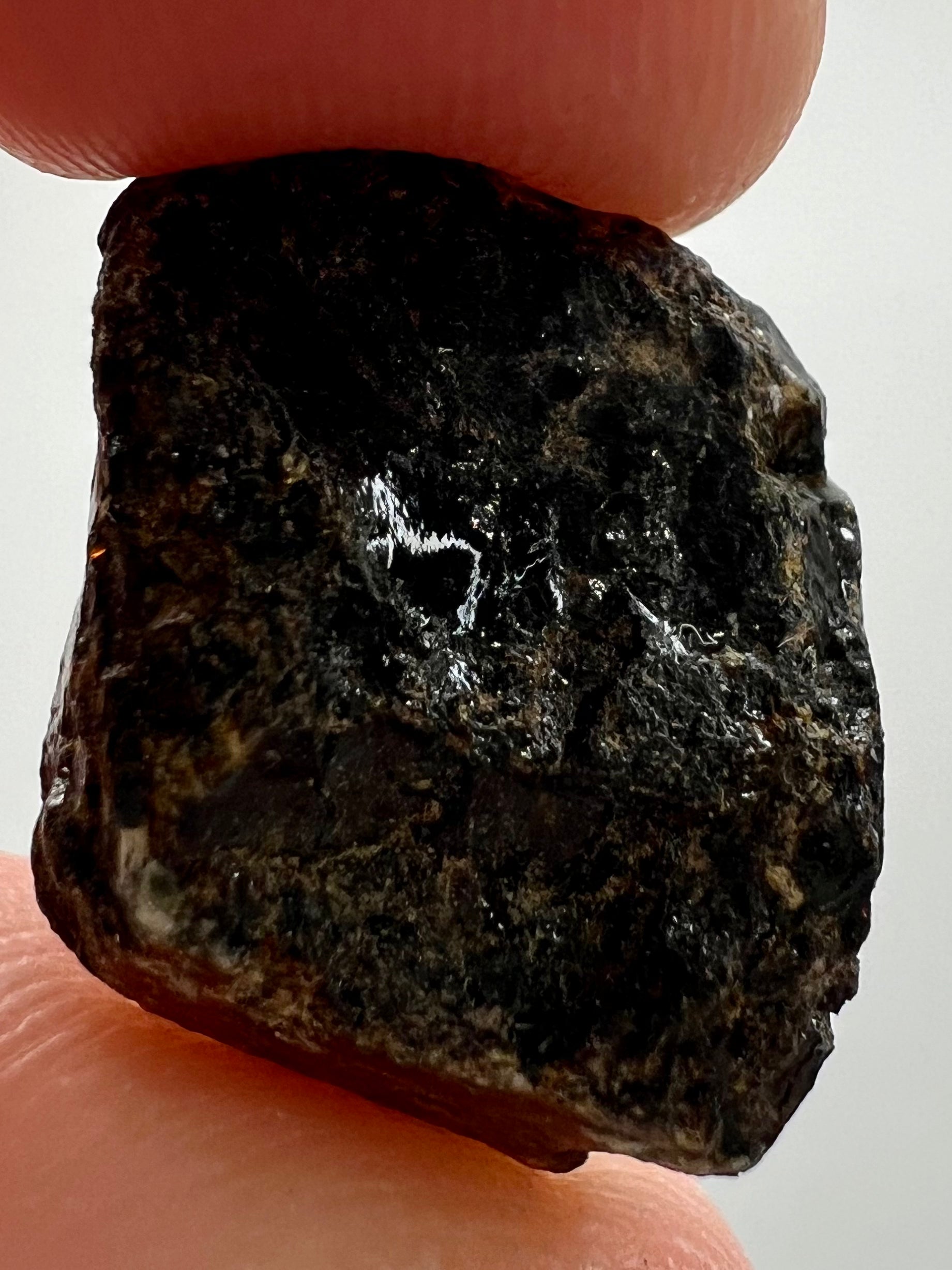 Amber // Cherry // Fossilized // Tree Resin - SolRising The Rock Shop