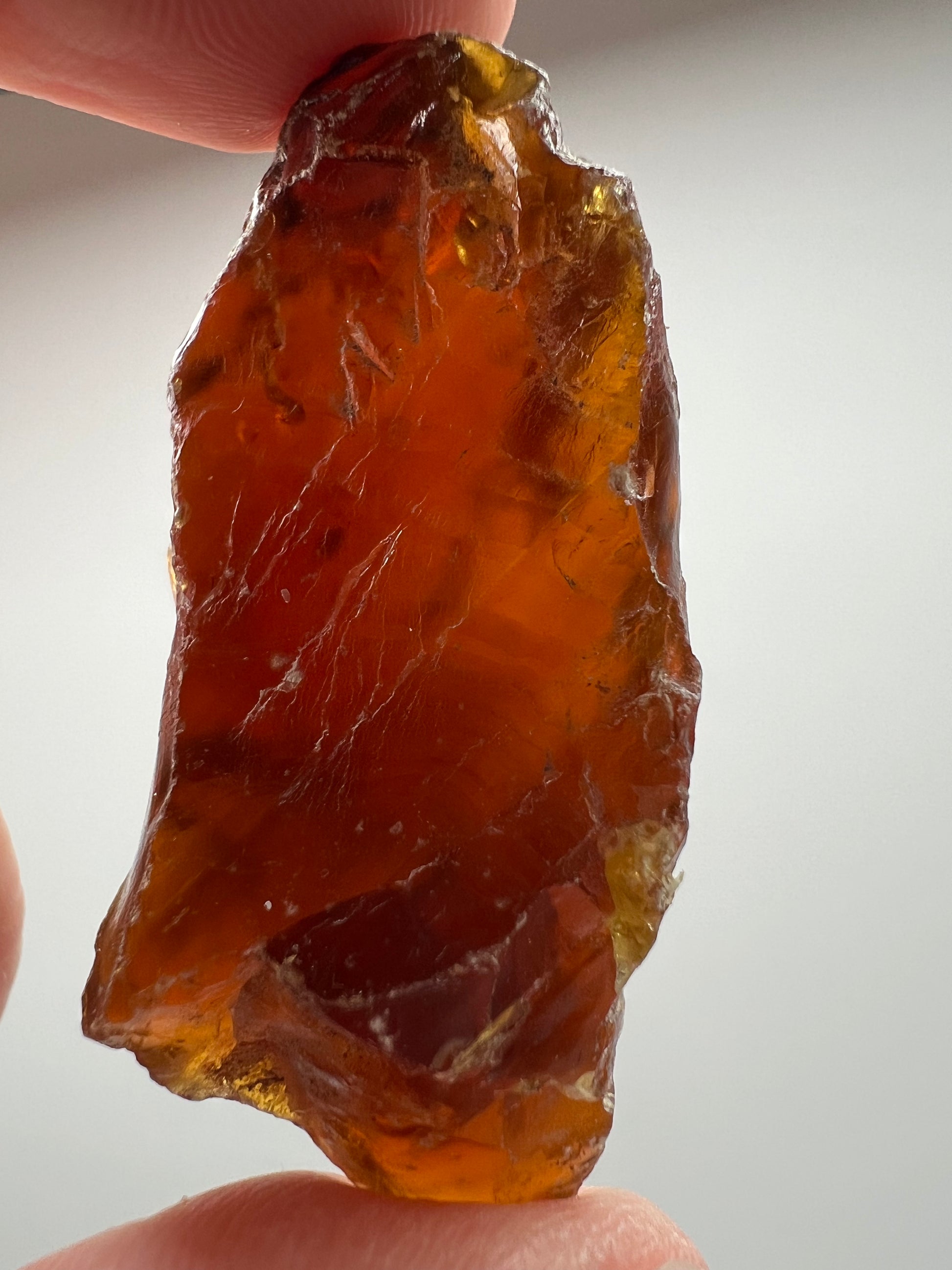Amber // Cherry // Fossilized // Tree Resin - SolRising The Rock Shop